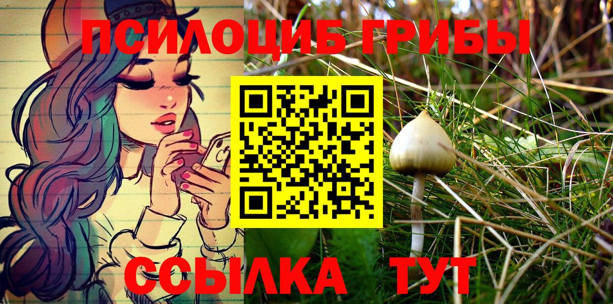 Гусев  Псилоцибиновые грибы GOLDEN TEACHER  Вход с VPN 